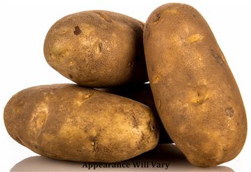 Russet Potatoes, Organic