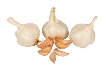 Garlic, Organic