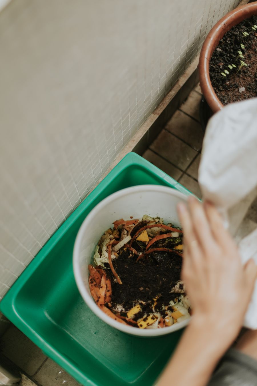 A pail of kitchen scraps and compost beside a potted seedling