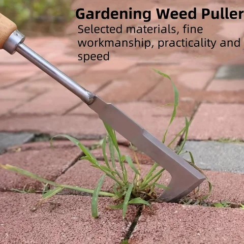 Crack and Gap Weeder