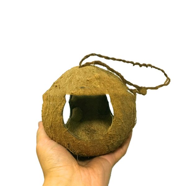 Coconut Shell Bird House
