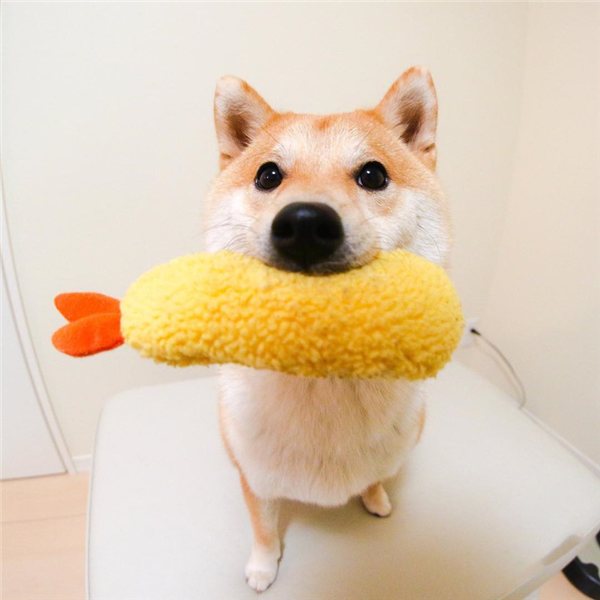 Shrimp Tempura Squeaky Dog Toy